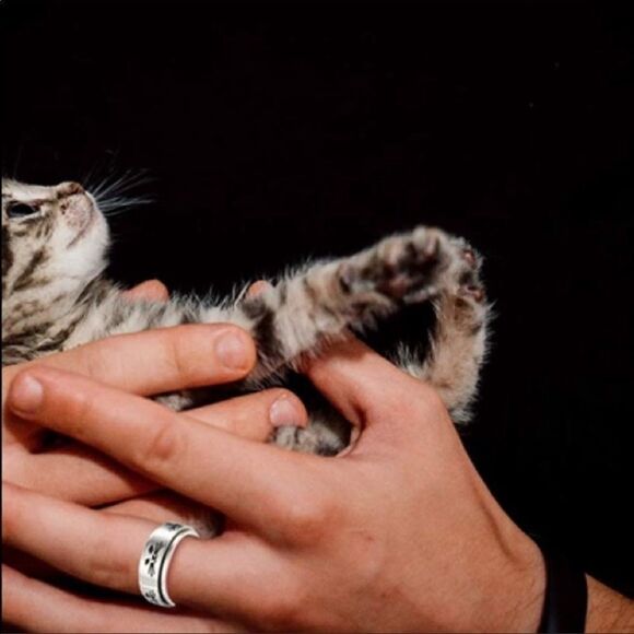 Cat Meditation Anxiety Fidget Spinner Ring - Picture 3 of 7